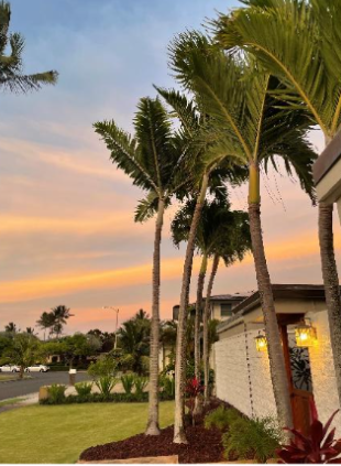 beach house 2